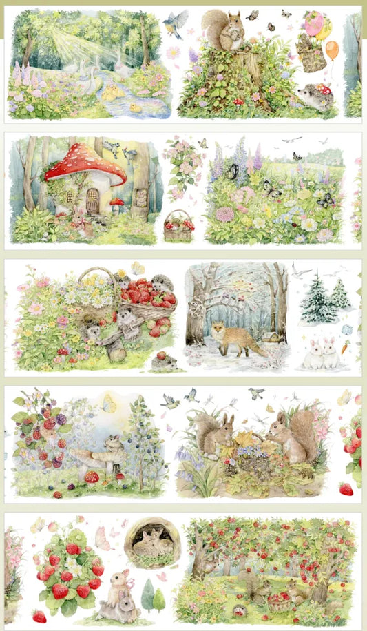 6247-StudioVI Studio-7x100cm Shell Luster PET Tape