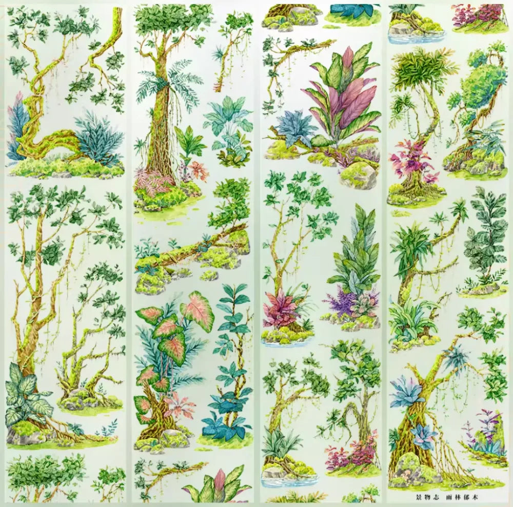 6291-JINGWUZHI Studio-7x100cm Glossy PET Tape