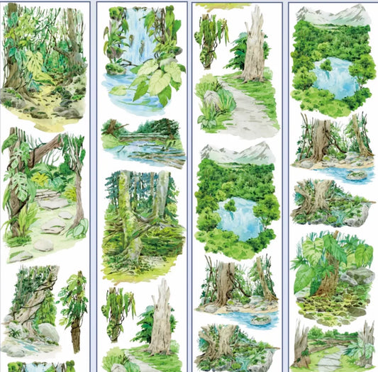 6333-XIN TIAN Studio-8x100cm Glossy PET Tape