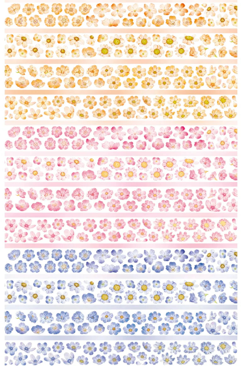 6346-YOYOYO Studio-6x600cm Pre Cut  PET Tape