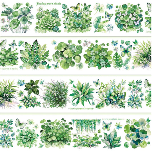 6349-6x100cm Glossy PET Tape