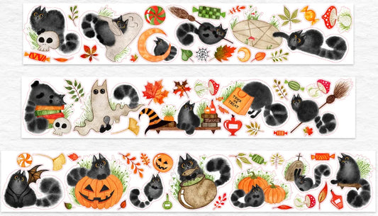 6552-WT Studio-6x100cm Pre Cut Gloss PET Tape