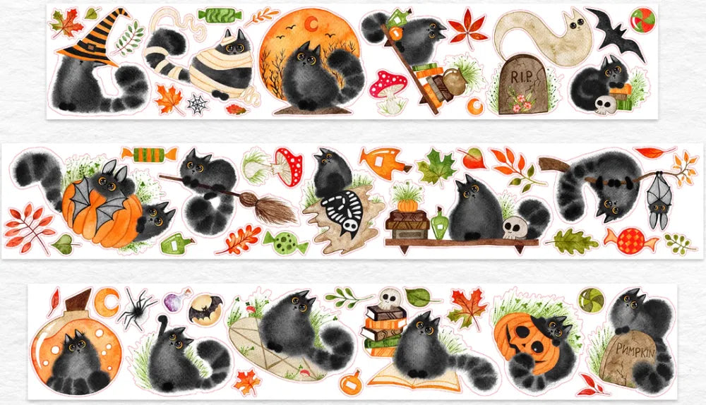 6553-WT Studio-6x100cm Pre Cut Gloss PET Tape