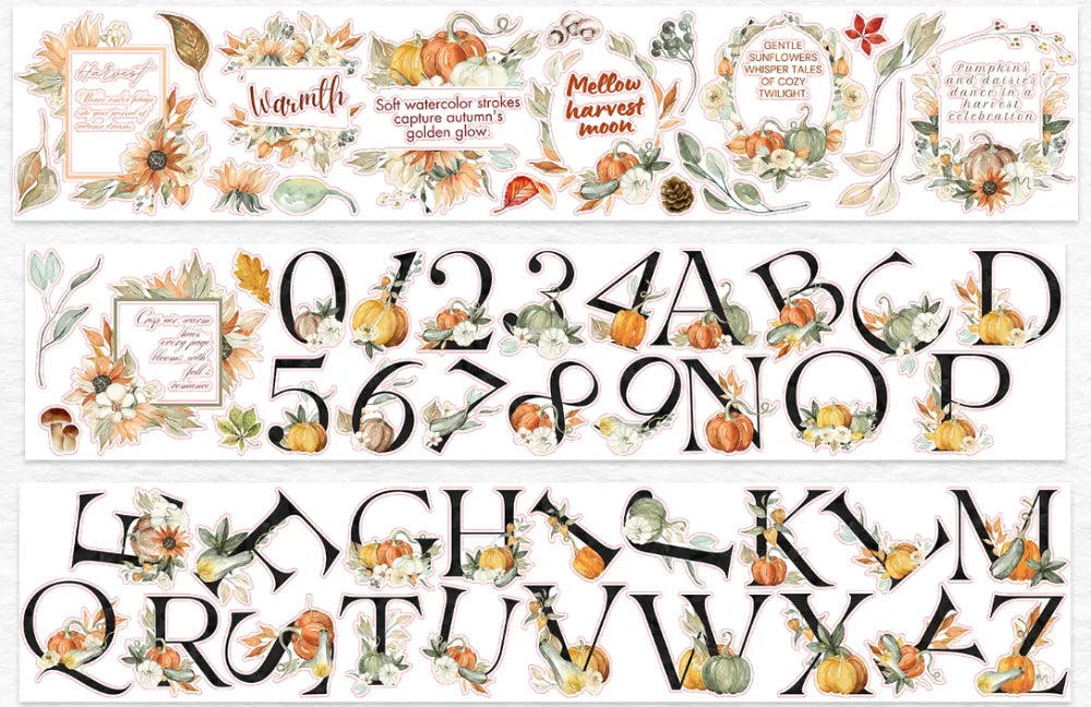 6603-WT Studio-7x100cm Pre Cut Gloss PET Tape