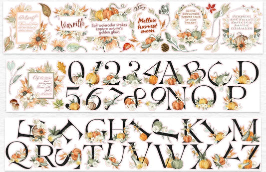 6603-WT Studio-7x100cm Pre Cut Gloss PET Tape