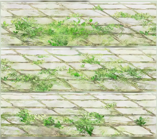 6654-ZERO Studio-Glossy PET Tape