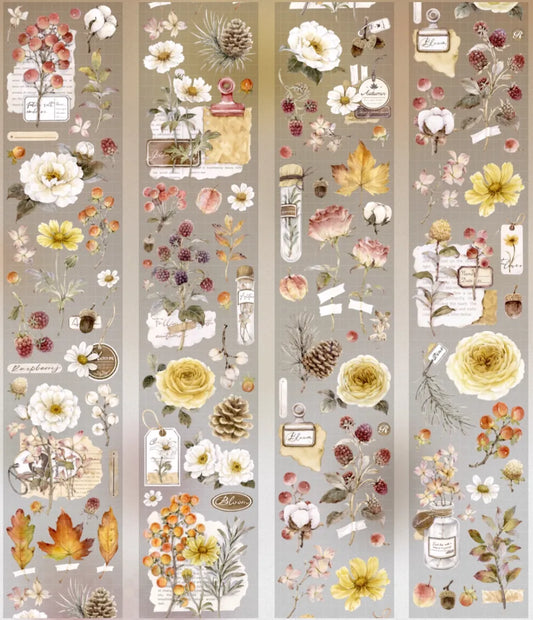 6670-Hoshi Studio-5.5x100cm Shell Luster PET Tape