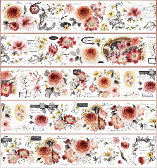 6672-Hoshi Studio-5.8x100cm Shell Luster PET Tape
