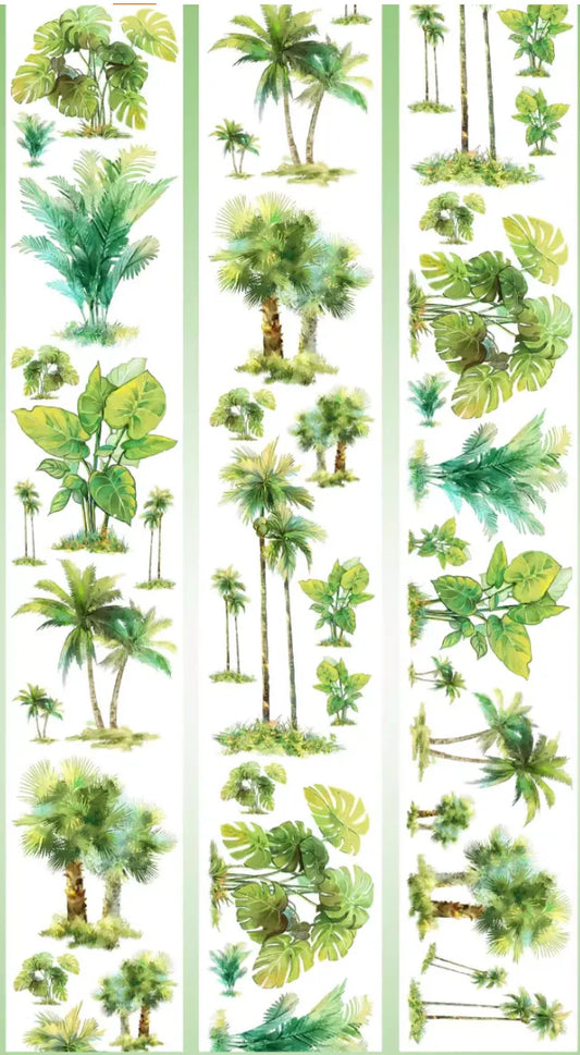 6723-SHI AN Studio-8x100cm Glossy PET Tape