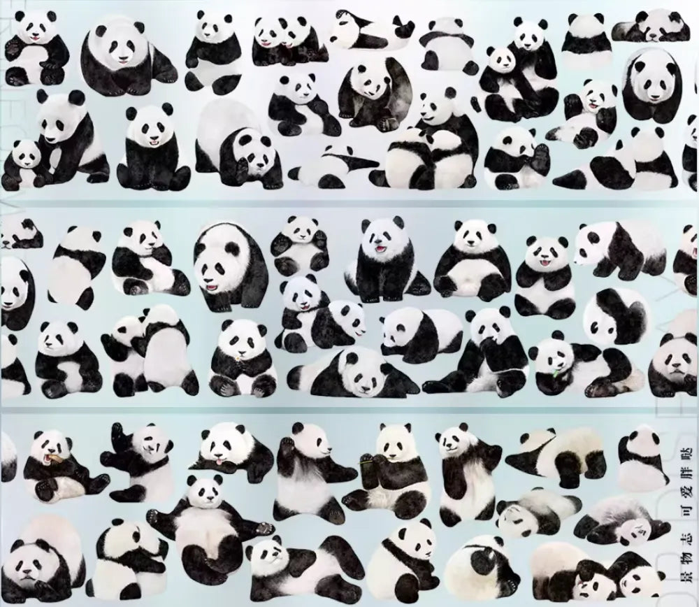 6727-JINGWUZHI Studio-5x50cm Glossy PET Tape