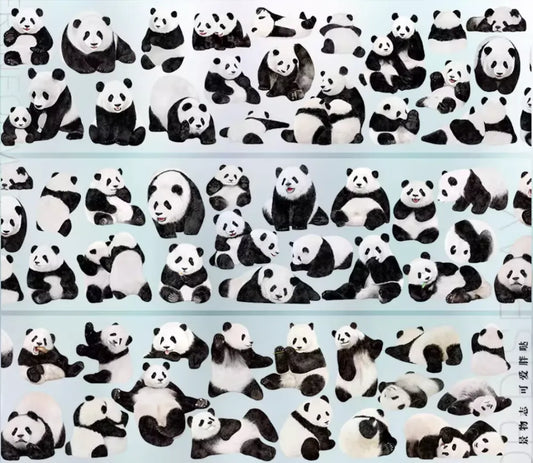 6727-JINGWUZHI Studio-5x50cm Glossy PET Tape