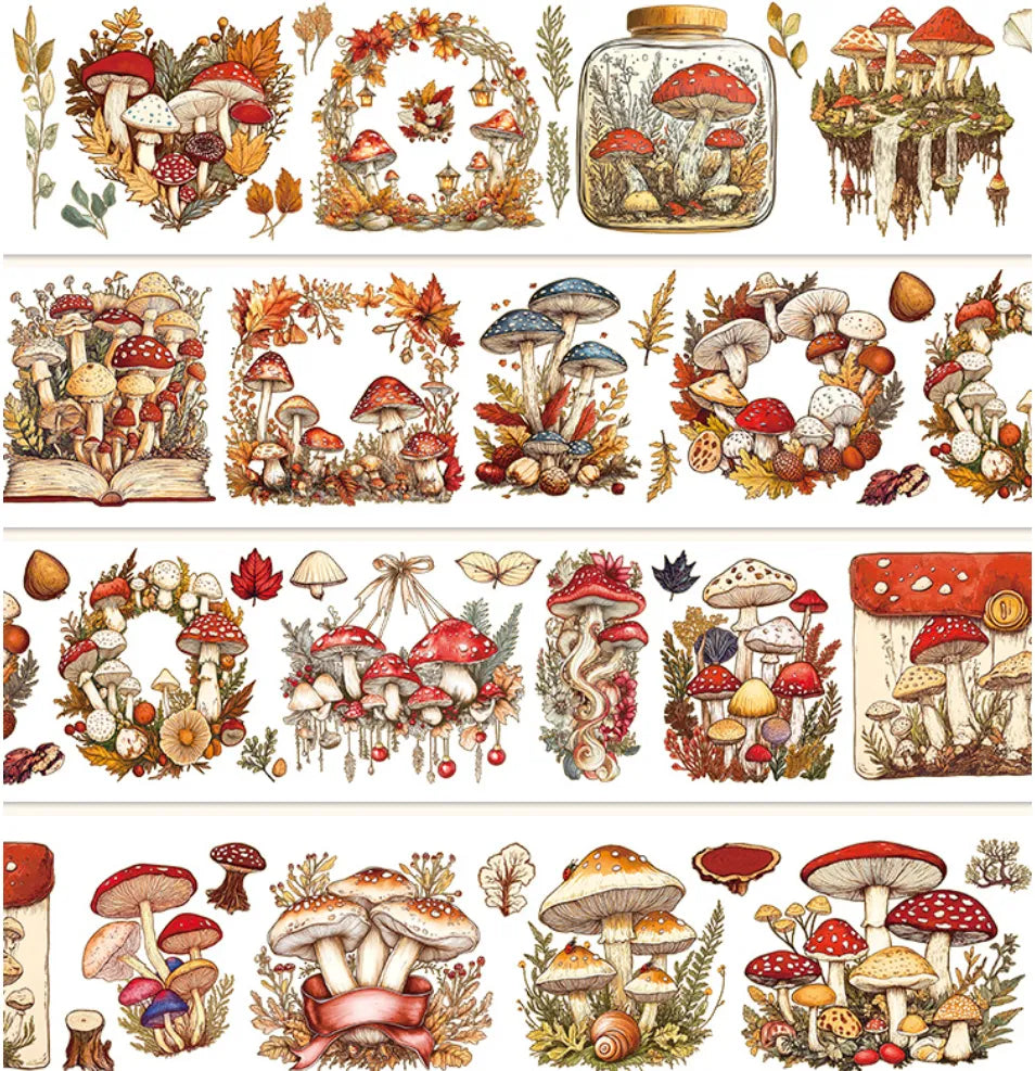 6773-6x100cm Frosted PET Tape