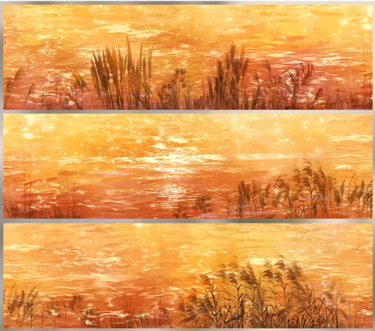 6854-ZERO Studio-6x57cm Glossy PET Tape