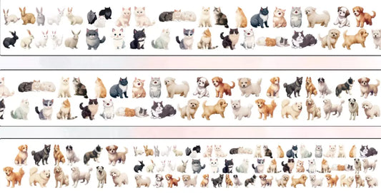 6869-NAI DONG Studio-6x100cm Glossy PET Tape