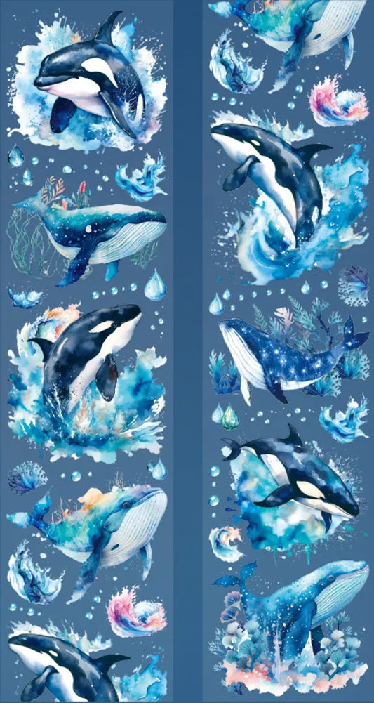 6884-Have a Good Day Studio-5x70cm Galaxy Glow PET Tape