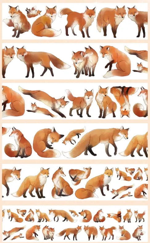 7049-ZHAIMAOJU Studio-4x80cm Glossy PET Tape