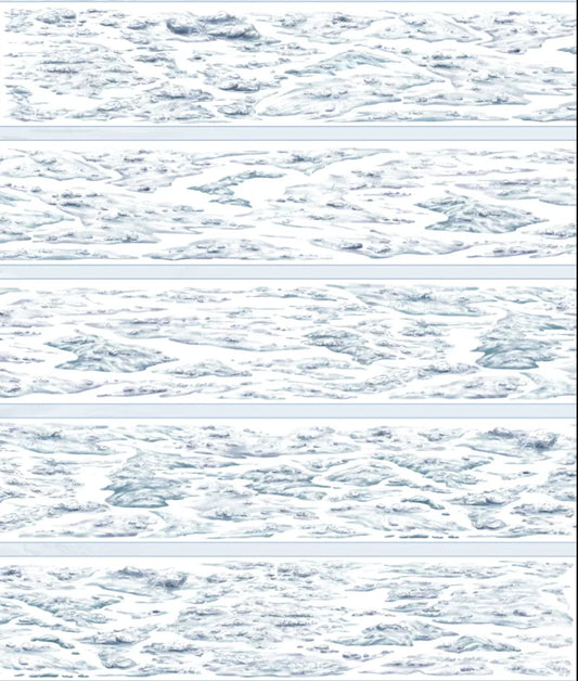 7066-XI NIAN Studio-8x134cm Glossy PET Tape