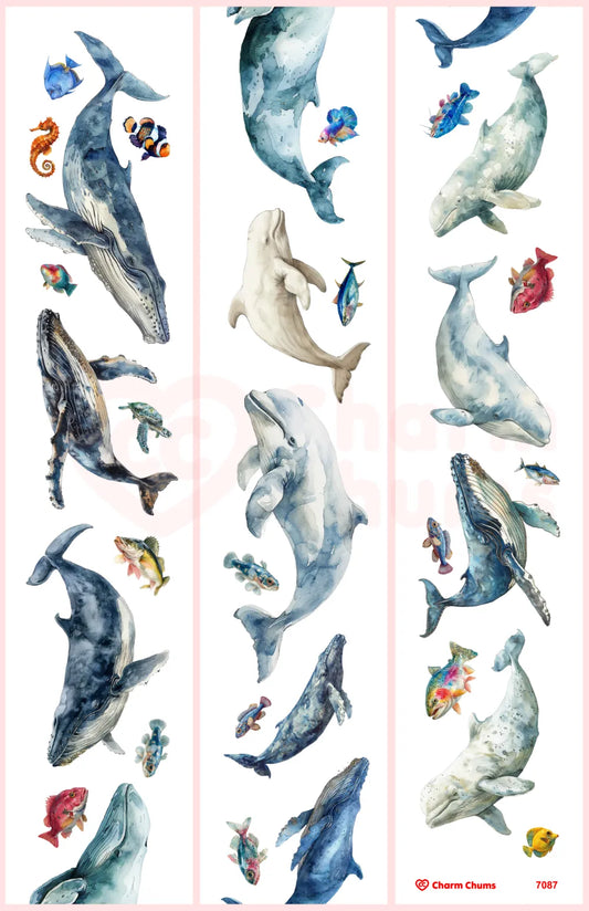 7087-CharmChums-7x100cm Glossy PET Tape