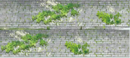 7091-The Seven Studio-6x70cm Washi PET Tape