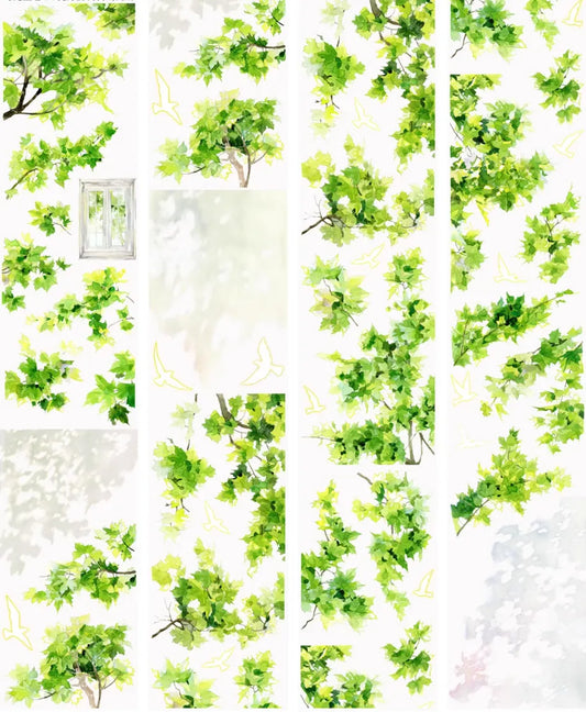 7193-YUEHAIYANJIUSUO Studio-6.5x100cm Shell Luster PET Tape