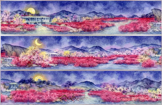 7704-ZERO Studio-7x100cm Washi PET Tape