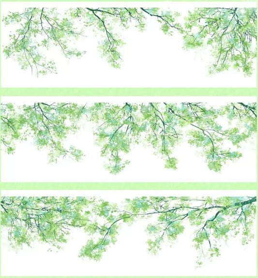 7764-SHI AN Studio-6x60cm Glossy PET Tape