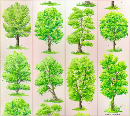 7986-JINGWUZHI Studio-Glossy PET Tape