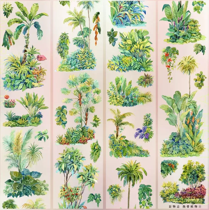 8020-JINGWUZHI Studio-6x100cm Glossy PET Tape