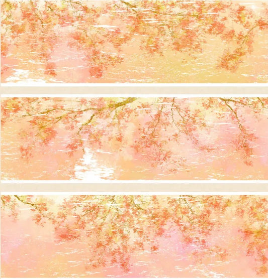 8048-SHI AN Studio-6x60cm Washi PET Tape