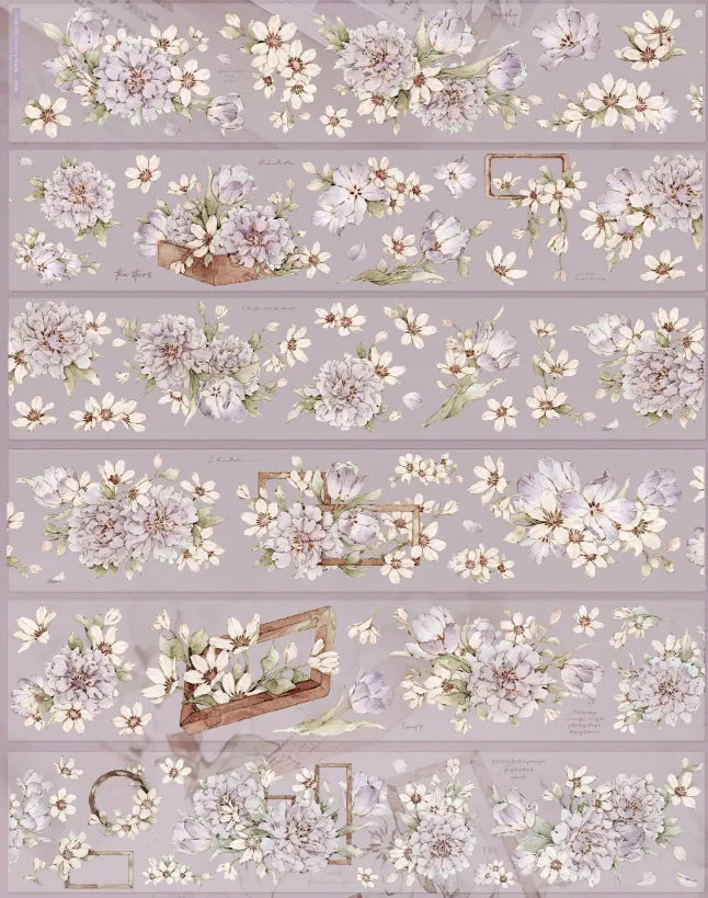 8164-XIAO BAI Studio-Loop-5.5x150cm Precut Glossy PET Tape