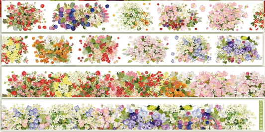 8241-DailyLife Studio-Loop-6x200cm Shell Luster PET Tape