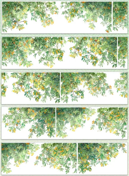 8570-SHI AN Studio-Glossy PET Tape