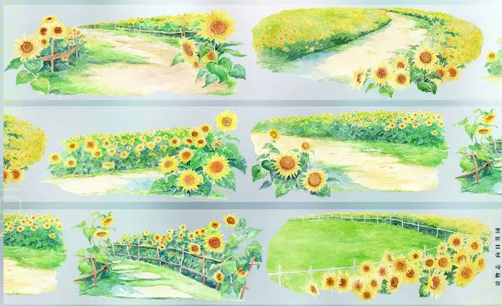 8591-JINGWUZHI Studio-Glossy PET Tape