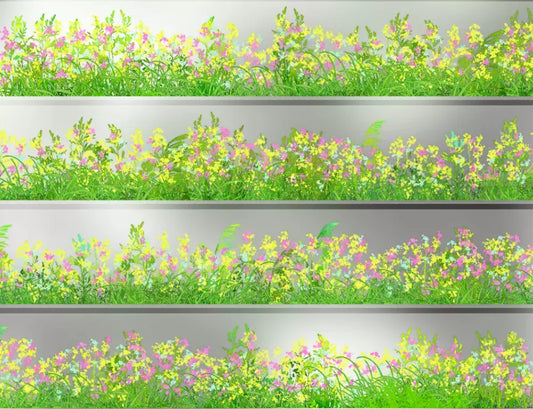 8883-JIANG YUE LING Studio-Glossy PET Tape