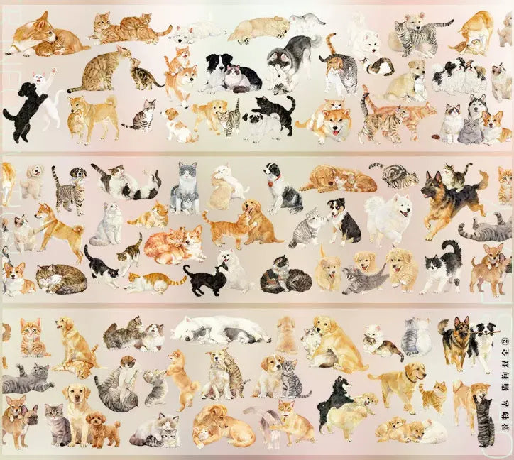 9098-JINGWUZHI Studio-Glossy PET Tape