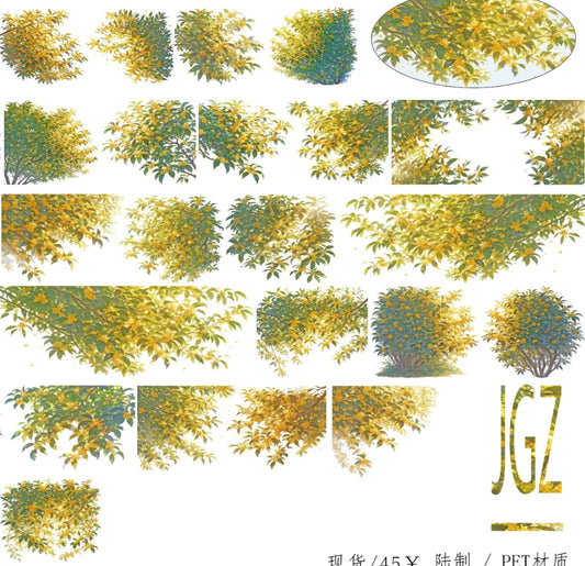 9287-NAI DONG Studio-Glossy PET Tape