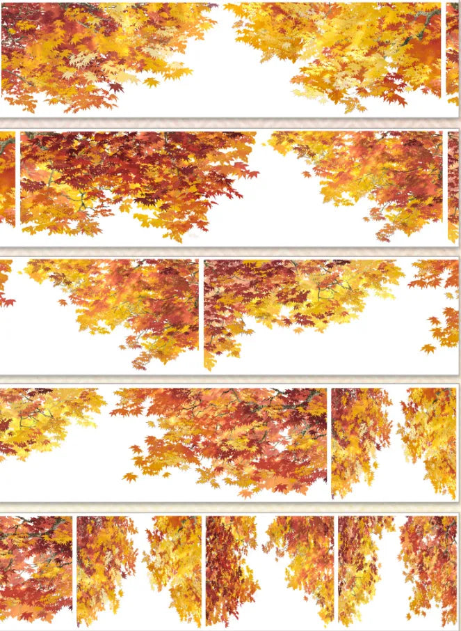 9523-SHI AN Studio-Glossy PET Tape