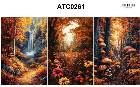 ATC0261-Backgroud Designed by CharmChums