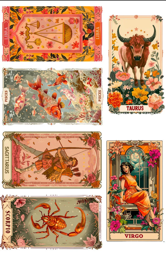 0019-PET Pre Cut Sticker by CharmChums