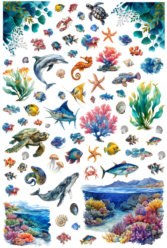 0040-PET Pre Cut Sticker by CharmChums