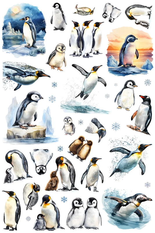 0048-PET Pre Cut Sticker by CharmChums