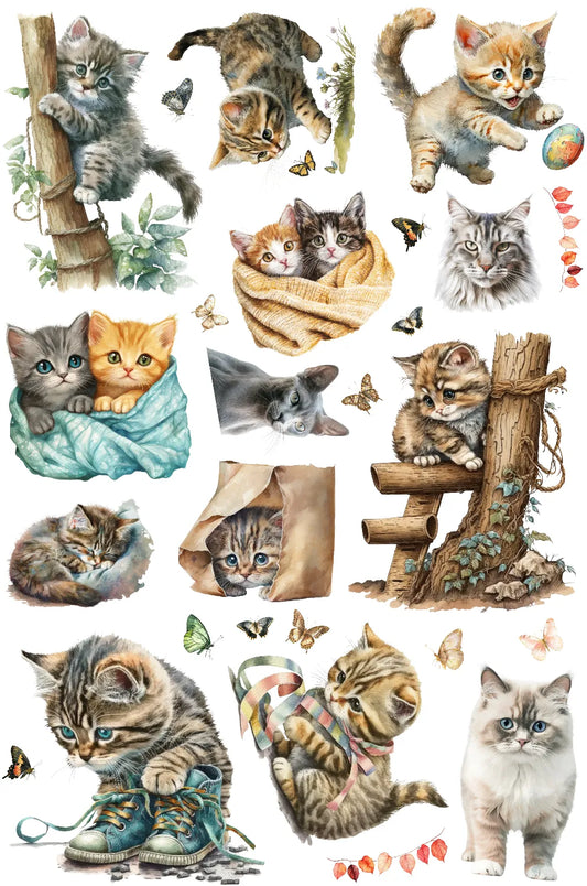 0049-PET Pre Cut Sticker by CharmChums