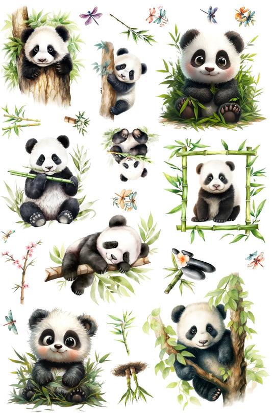 0050-PET Pre Cut Sticker by CharmChums