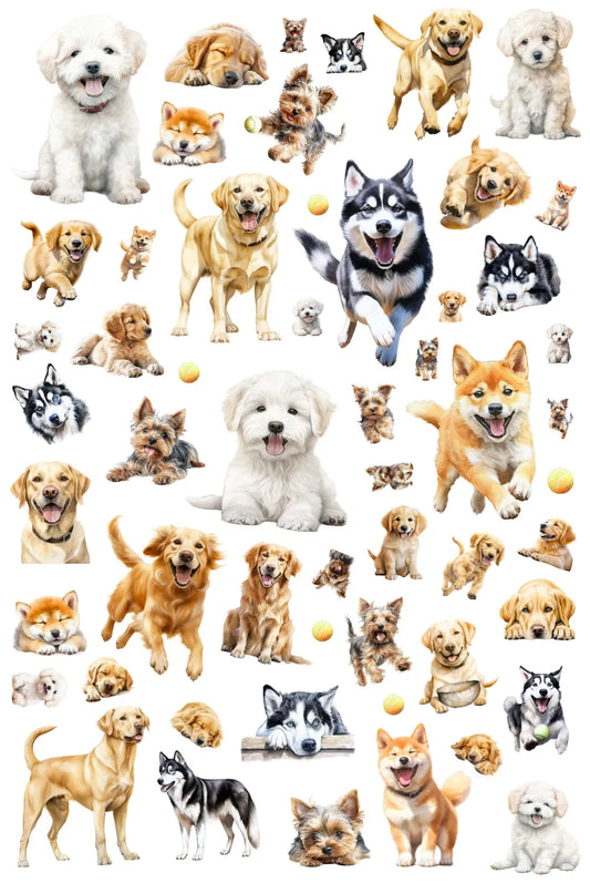 0056-PET Pre Cut Sticker by CharmChums