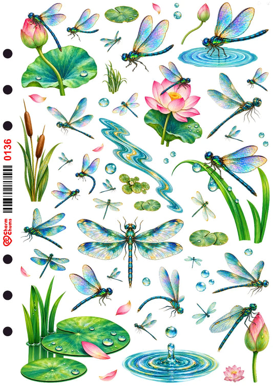 0136-PET Pre Cut Sticker by CharmChums