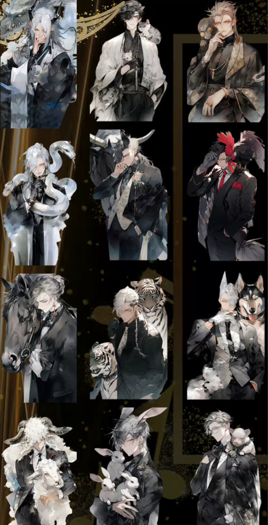 1008-33 Studio-8x165cm Glossy PET Tape