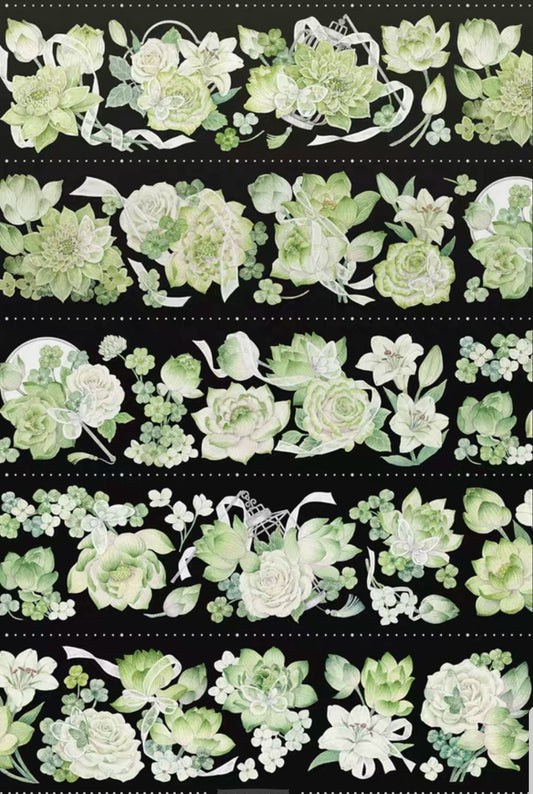 2468 - Green Rose 6x100cm Shell Luster PET Tape