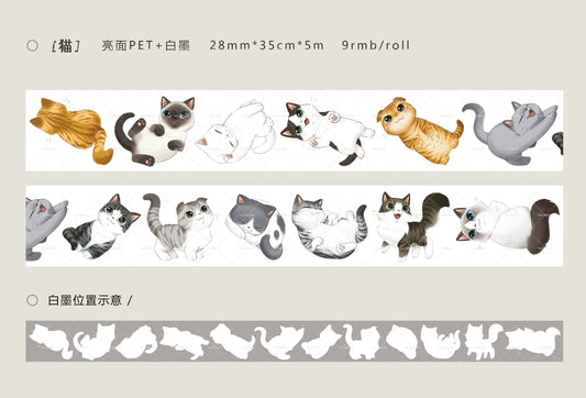 3255 - 2.8x35cm Glossy PET Tape