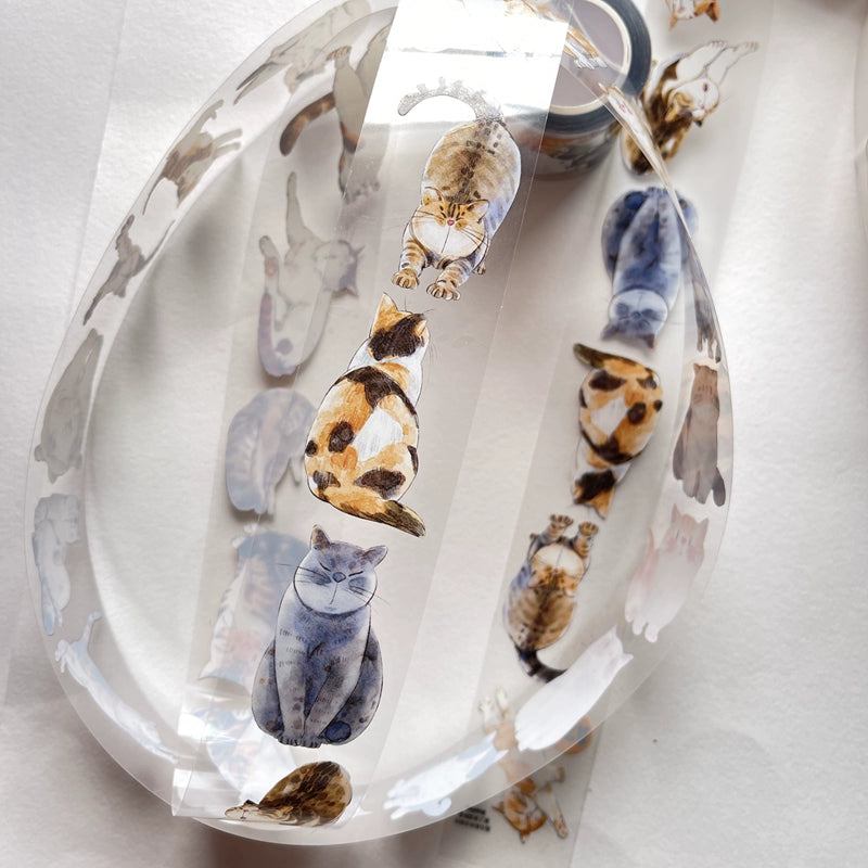 2440-Dingding Studio-3.5x200cm Glossy PET Tape