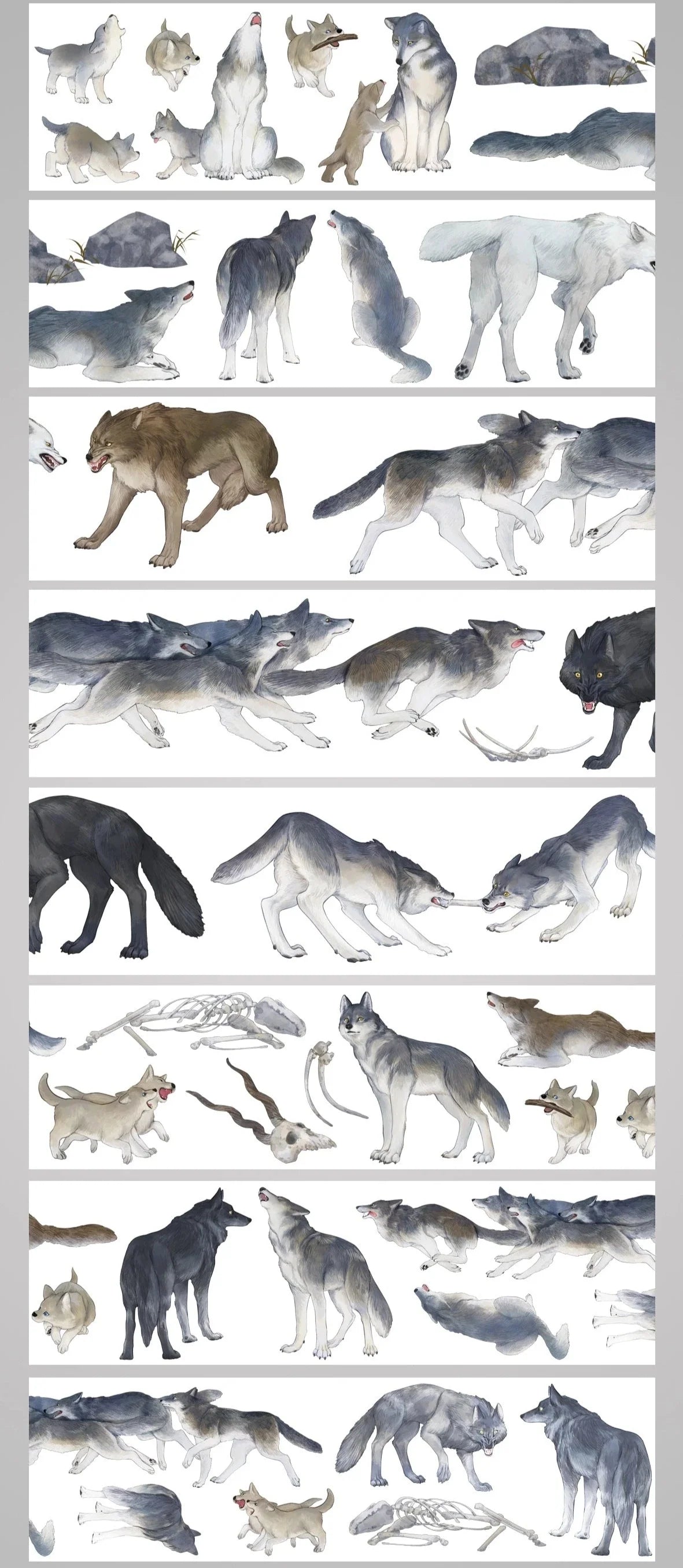 3375-SHI AN Studio-4x100cm Glossy PET Tape